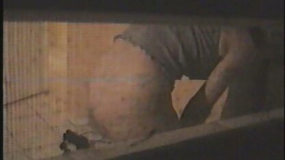 Finestra Peep 2003