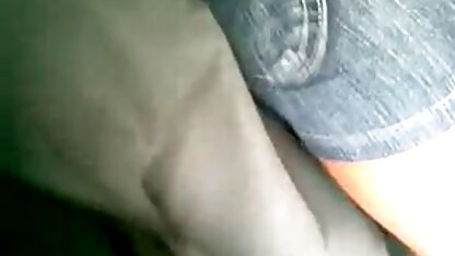 Contatto curiosità-made - la ragione-bus-micro
