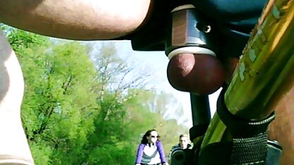 Due gatti in cima alla moto . sborrate veloci